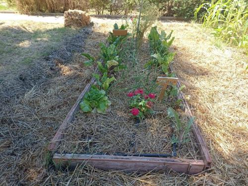 Celebración de los primeros 10 años de la Cooperativa Ecoherencia (10 años sembrando resiliencia)-1