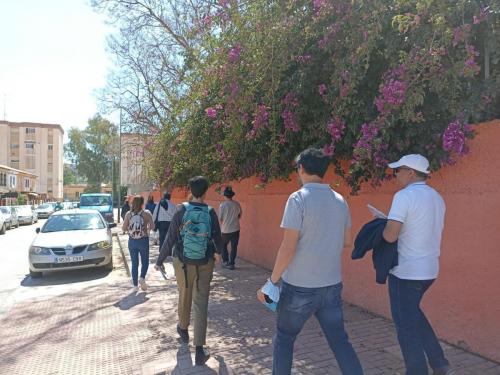 Paseo urbano Palma Palmilla